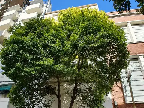Ecuador al 200
