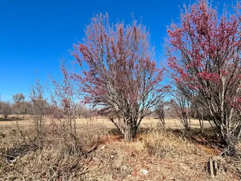 Terreno en Venta de 2000,0 m2