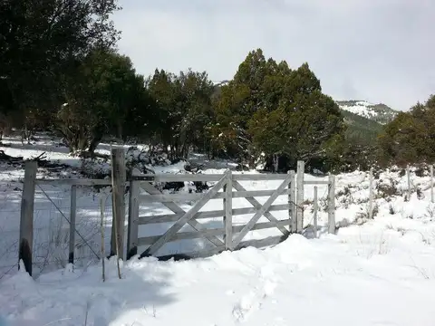 Mza XVI Lago MELIQUINA