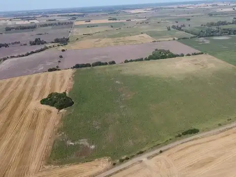 Campo en Venta de 29  ha