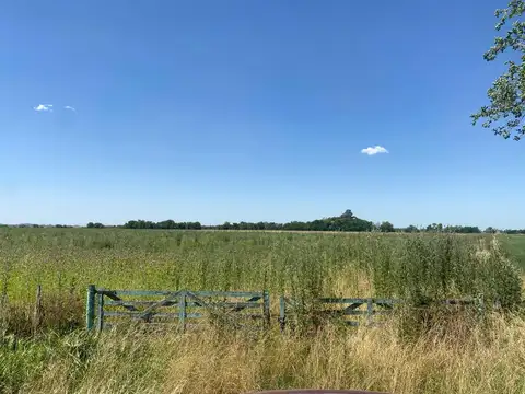 Campo en Venta de 29  ha