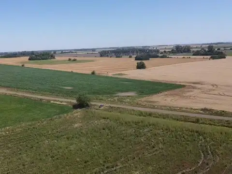 Campo en Venta de 29  ha