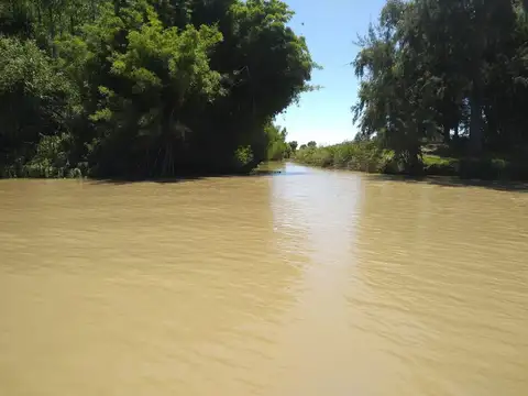 Rio / Arroyo Paraná Miní 100