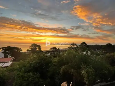 Punta Ballena