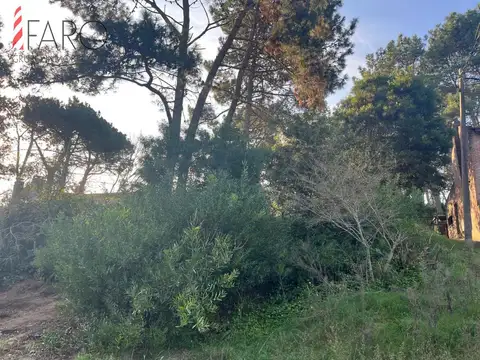 Lindo lote en venta en Pinares apto para Propiedad Horizontal