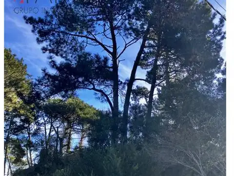 Terreno en Venta 17  mts Frente