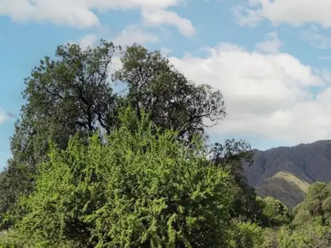 Reserva natural Calaguala - Villa de Merlo 100