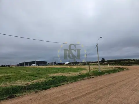 Terreno en Venta de 24287,0 m2