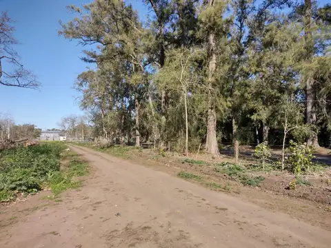 Terreno en Venta en Abasto, USD 25.000