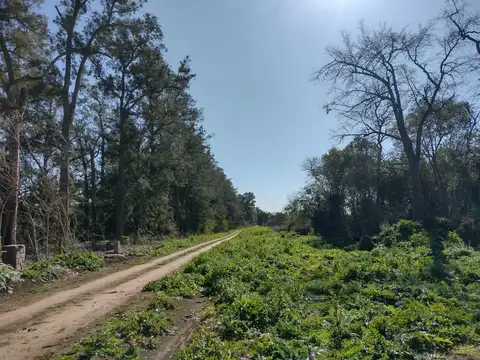 Ruta 36 Estancia Chica (Abasto  )