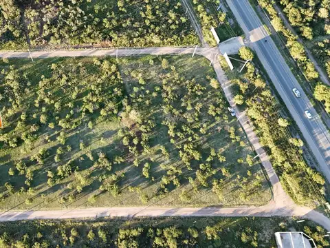 Ruta 1 300