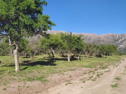 Lote de 880 metros en venta Cortaderas San Luis