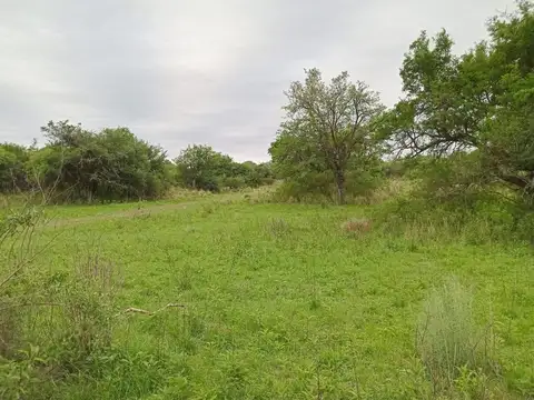 la granja 31039900