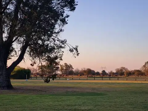 Ruta 8 km 84.300 100