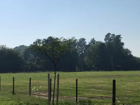 Lotes de 300 a 800m2