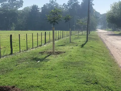 Terreno en Venta de 300,0 m2