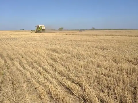 1500 ha - 100% Agricolas - Bandera - Sgo del estero
