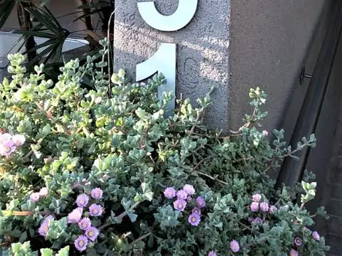 Wenceslao De Tata 451