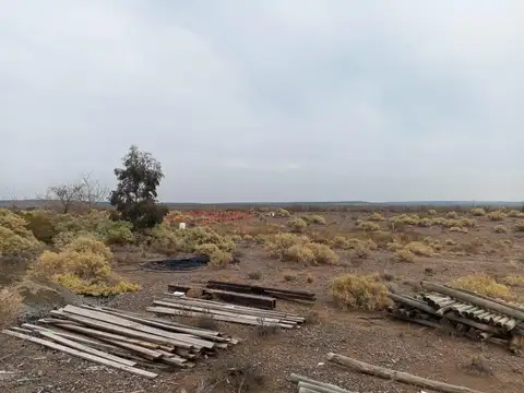VENTA CASA QUINTA CON VIÑEDOS