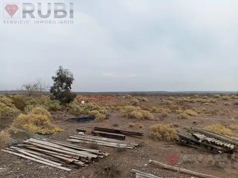VENTA CASA QUINTA CON VIÑEDOS