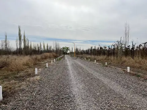 Terreno en Barrio "La Rufina" Cervantes