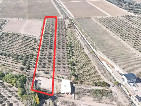 La Falda 200