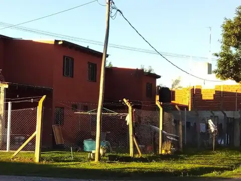 517 y 181 bis