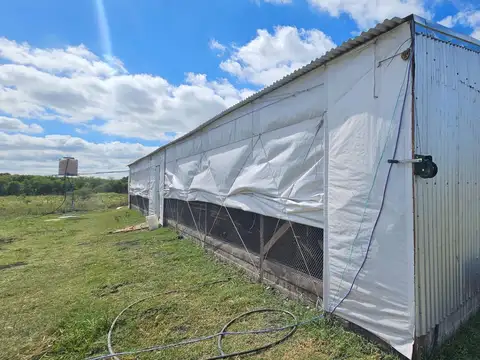 Campo en Venta de 3  ha