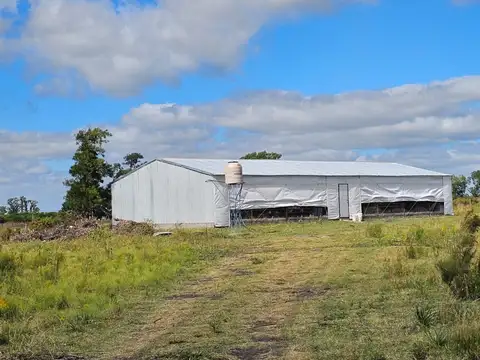 Campo en Venta de 3  ha