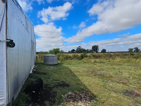 Campo en Venta Granja