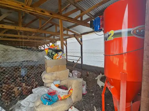 Campo en Venta Granja