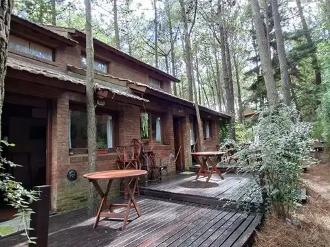 Payró 100