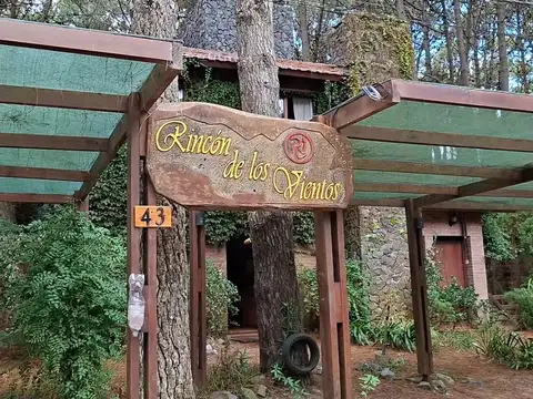 Payró 100