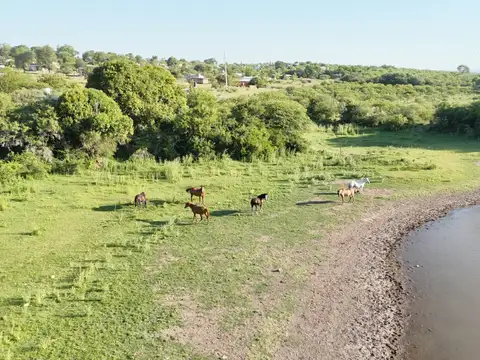 Venta de 2 fracciones de campo con bajada a laguna   - Amboy - Calamcuhita. Apto desarrollo.  Cód (3107)