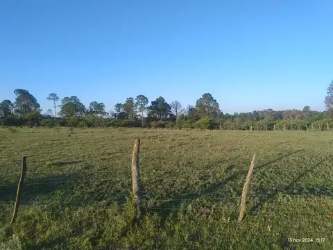 TERRENO UBICADO A SOLO 100 METROS DEL LAGO,LOS ESPINILLOS