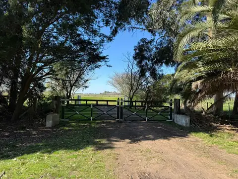 Campo 19 ha con frente RP 41 - Casa 3 amb. Molino y Tanque Australiano - San Miguel del Monte