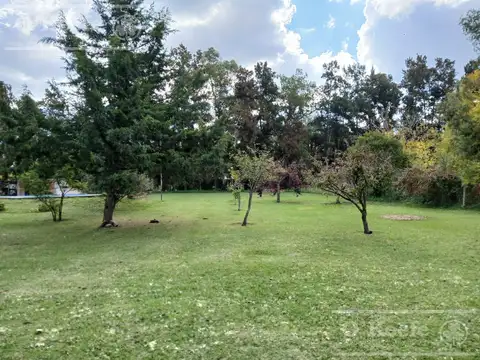 Calle 496 nro 7143 entre 229 y231 Abasto
