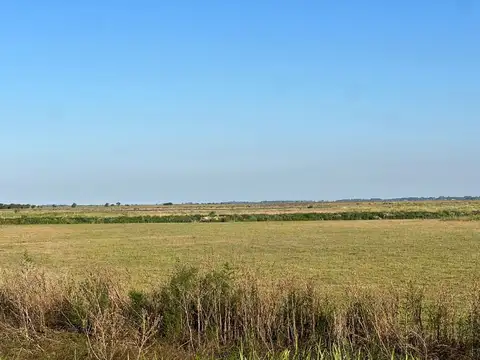 Avenida Río de la Plata s/n