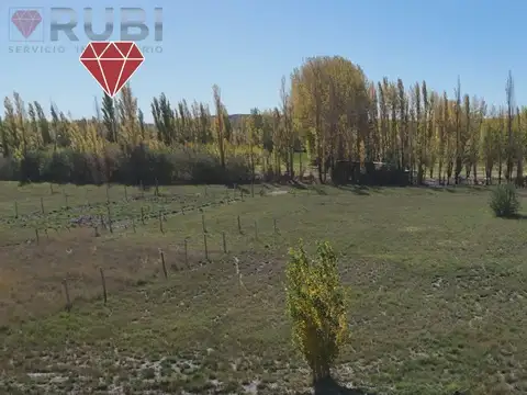 Terreno en Venta 12  mts Frente