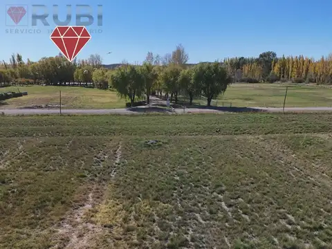 Terreno en Venta 37  mts Fondo