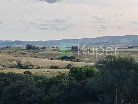 Campo  en Venta en Laguna Garzon