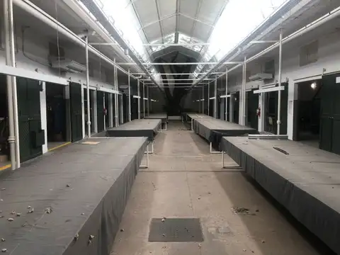 Jorge Newbery 1600