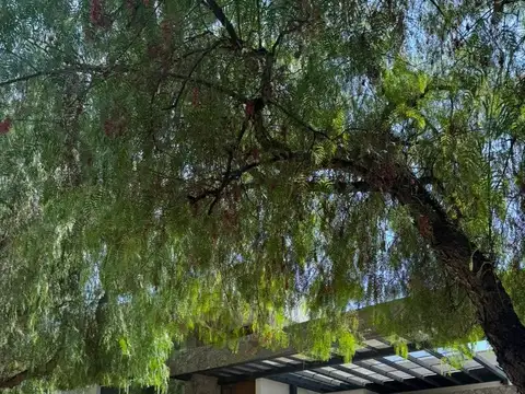 Casa en Venta en Mendoza, USD 340.000