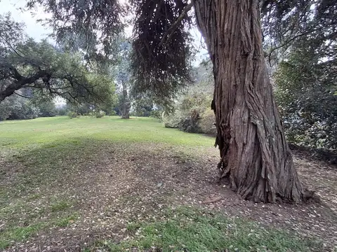Terreno en Venta de 600,0 m2