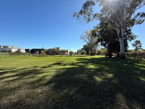 Terreno en Venta de 505,0 m2