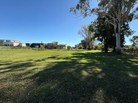 Terreno en Venta de 505,0 m2
