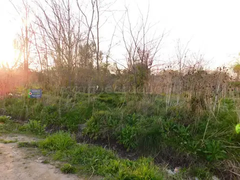 Terreno en Venta en Chascomus, USD 35.000