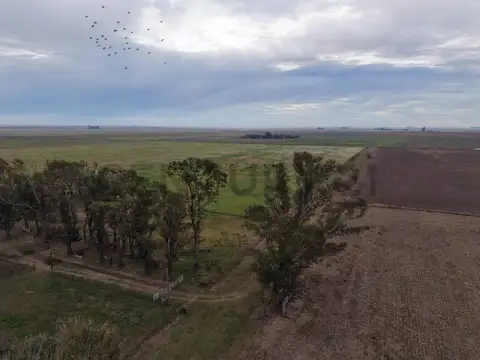 Campo en Venta de 0,03  ha