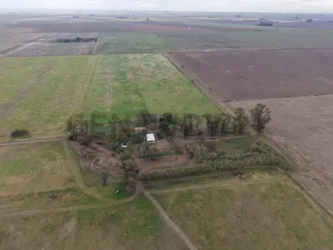 CAMPO 310 ha MIXTAS - EN VENTA ! AGRICOLA / GANADERO - ZONA NÚCLEO