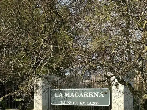 C. La Macarena